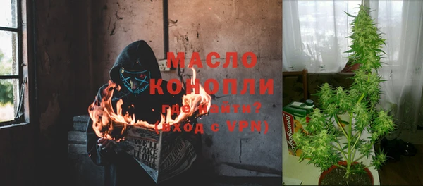 ПСИЛОЦИБИНОВЫЕ ГРИБЫ Алзамай